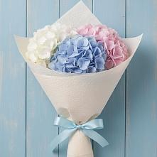 Букет цветов из:  Гортензия в Кызыл-Озёк