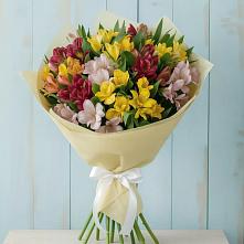 Букет цветов из:  Альстромерии в Кызыл-Озёк