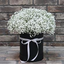 Цветочная композиция из Гипсофила в шляпной коробке в Кызыл-Озёк