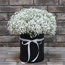 Цветочная композиция из Гипсофила в шляпной коробке в Кызыл-Озёк