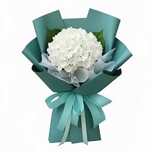 Букет цветов из:  Гортензия в Кызыл-Озёк